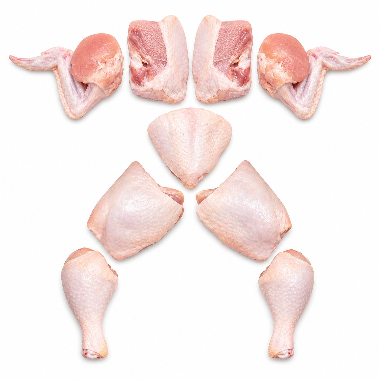 Chicken & Poultry