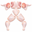 Chicken & Poultry