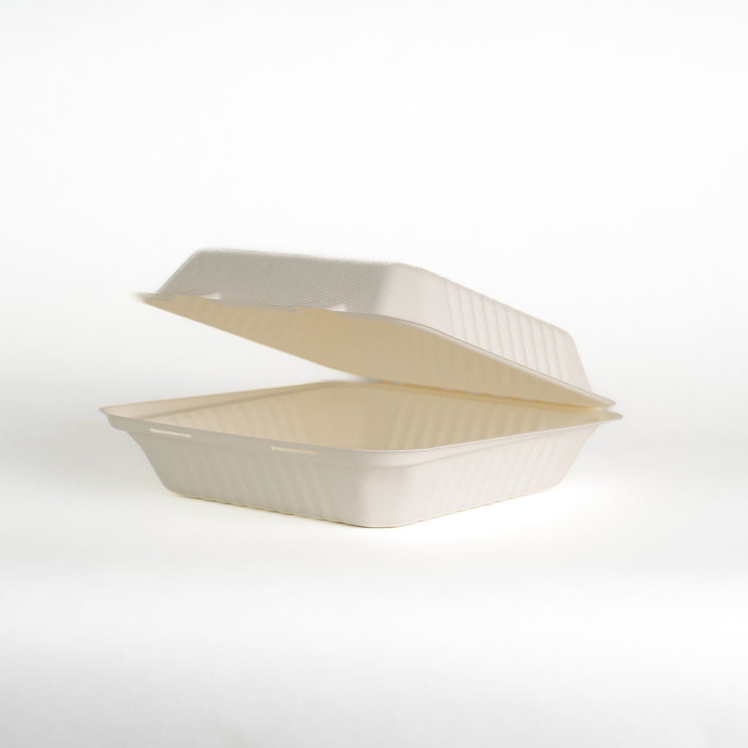 Bagasse