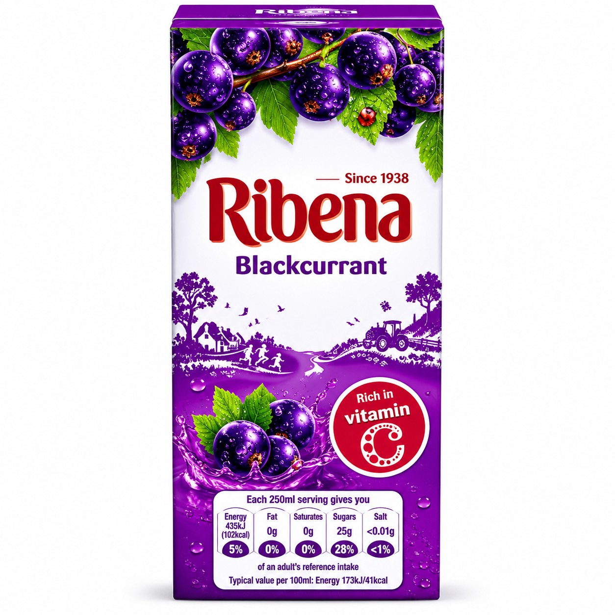 RIBENA BLACKCURRANT CARTONS 24X250ML
