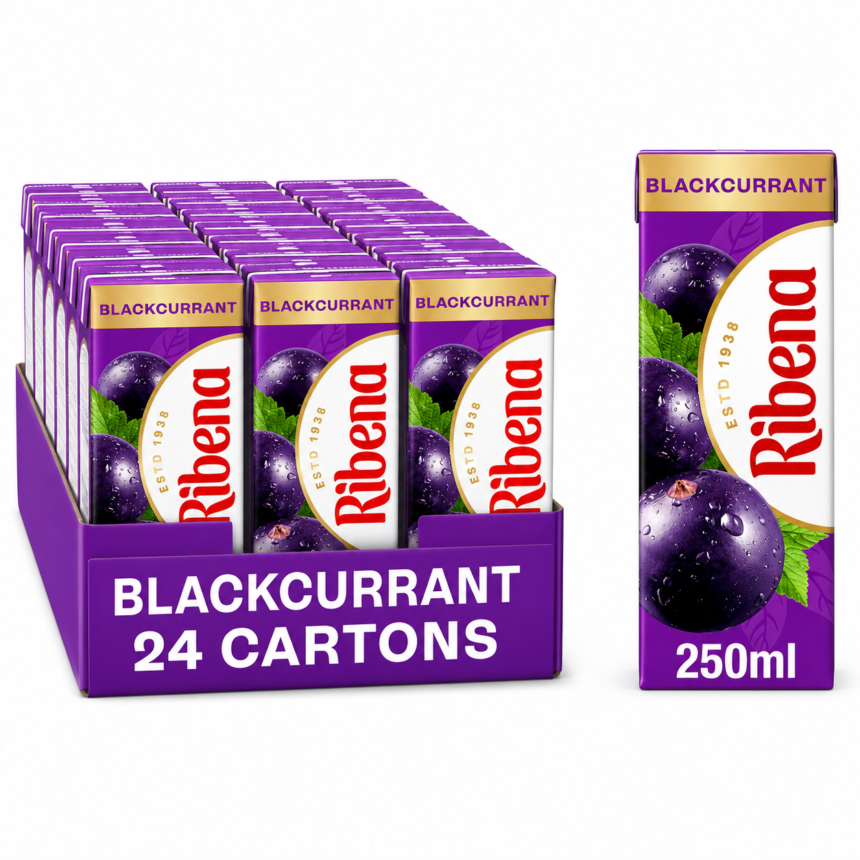 RIBENA BLACKCURRANT CARTONS 24X250ML