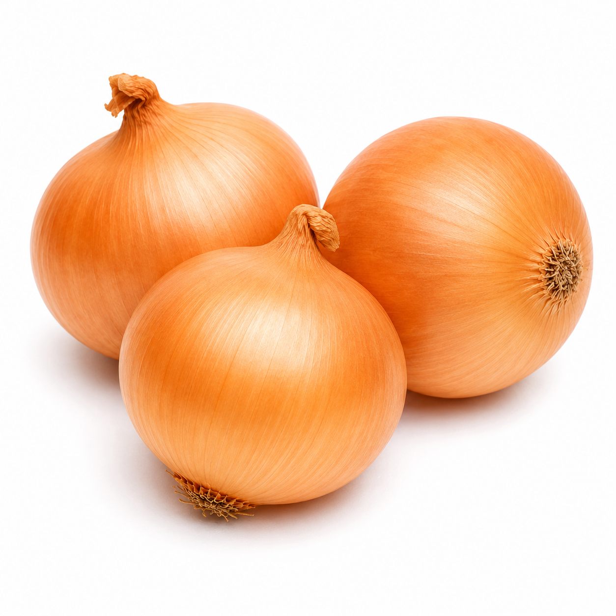 Fresh Spanish Onions 20kg Sack