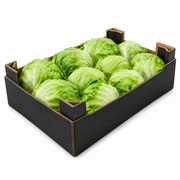 Fresh Iceburg Lettuce Box