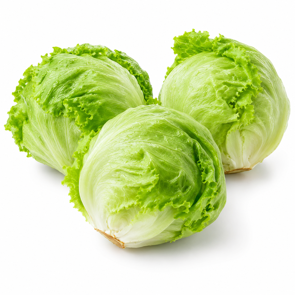 Fresh Iceburg Lettuce Box