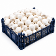 Fresh White Mushrooms Tray
