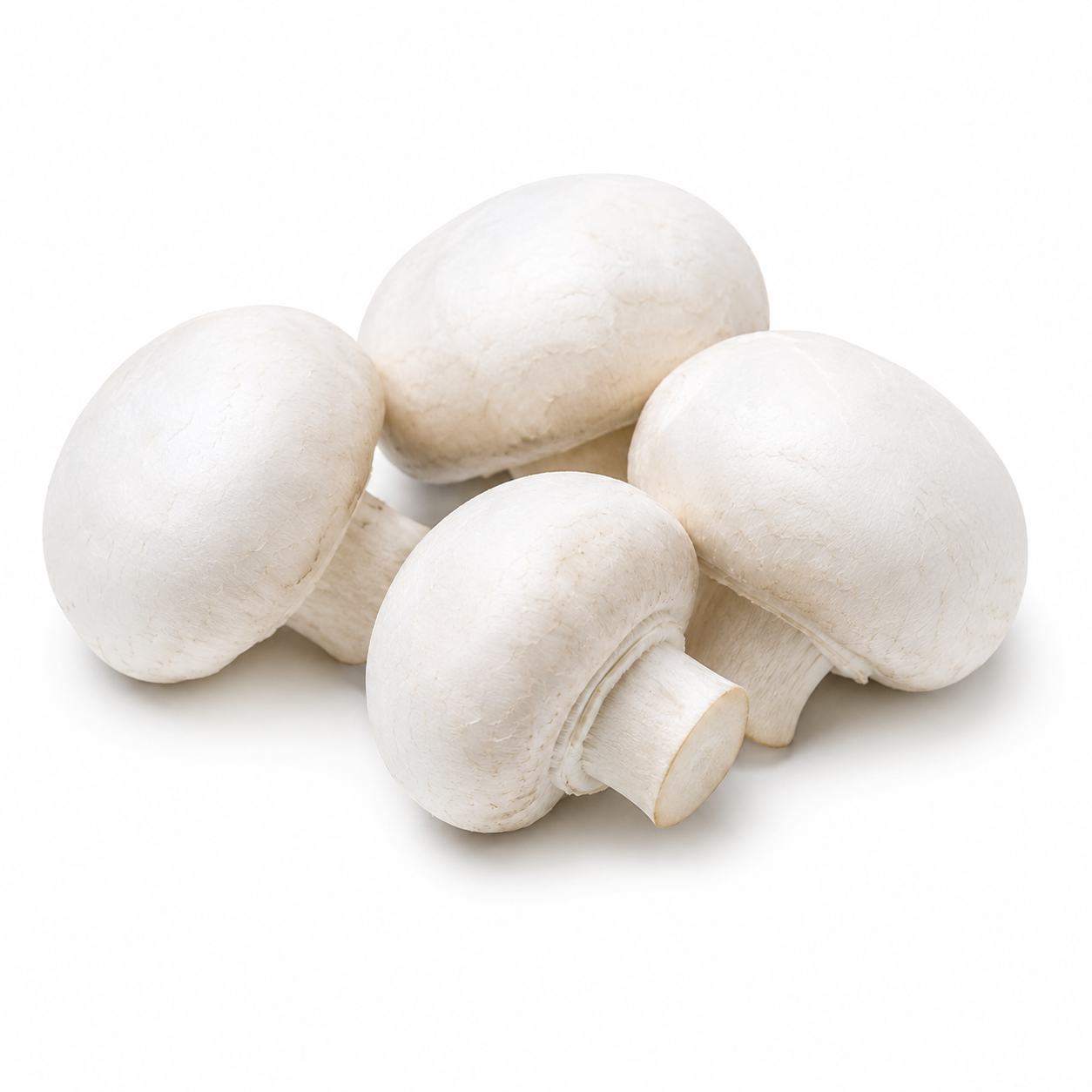 Fresh White Mushrooms Tray