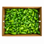 Fresh Bullet Chilli Box